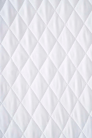 Elisa Double Size Quilted Waterproof Mattress Protector