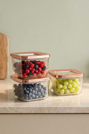 Rose Vacuum Airtight 3-Piece Food Storage Container Set – 500 Ml