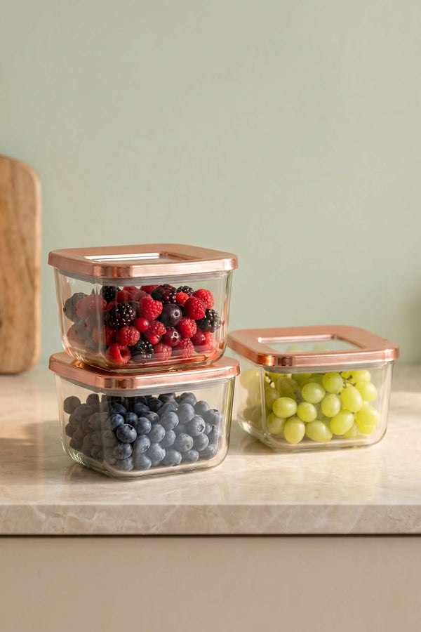 Rose Vacuum Airtight 3-Piece Food Storage Container Set – 500 Ml