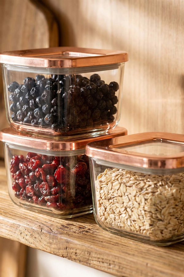Rose Vacuum Airtight 3-Piece Food Storage Container Set – 500 Ml