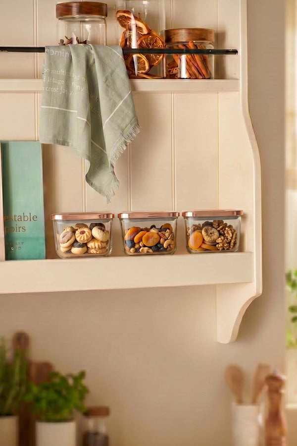 Rose Vacuum Airtight 3-Piece Food Storage Container Set – 500 Ml